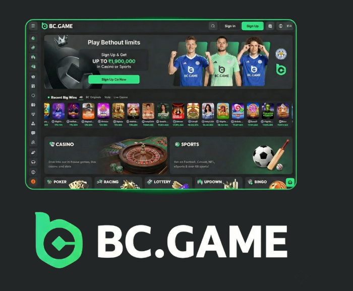 Discover the Excitement of BC.Game Online Casino Platform -254405166 Discover the Excitement of BC.Game Online Casino Platform -254405166